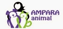 Ampara Animal