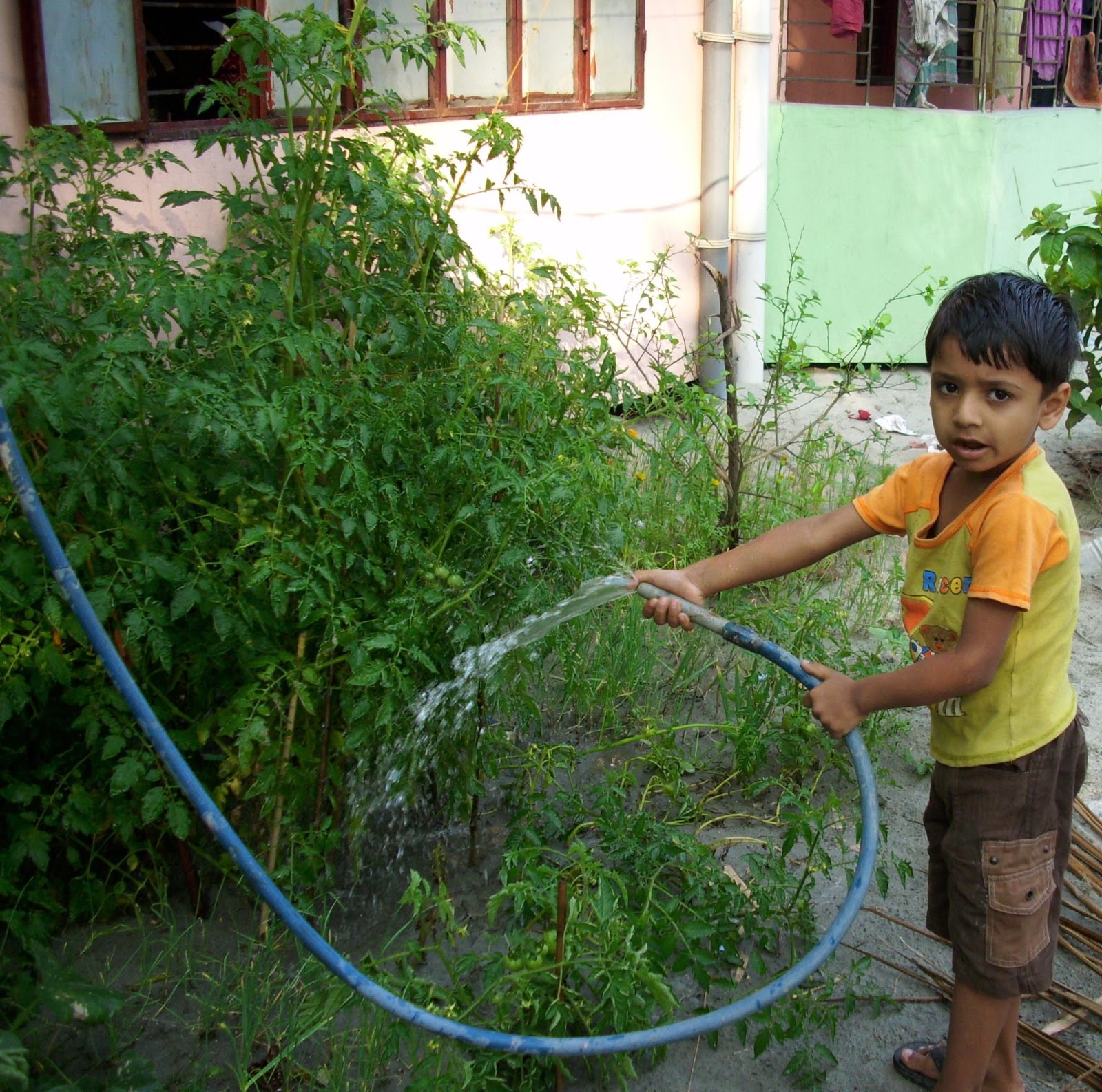 Two Steps From Home Watering My Vegetable Garden