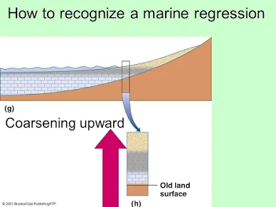 Regression How to Identify Transgression and Regression in a Sedimentary Outcrop?
