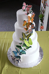 cakes rainbow cake butterfly
