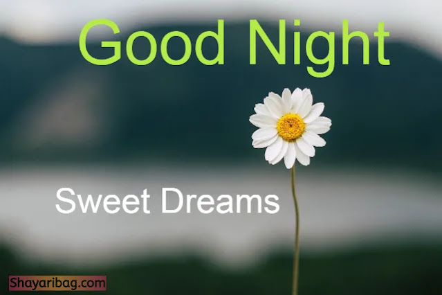 Good Night With Flowers Good Night With Flowers
