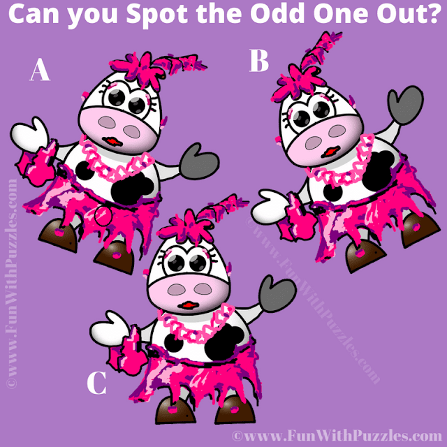 Difference Challenge: Answer of Spot the Odd One Out Picture Puzzle