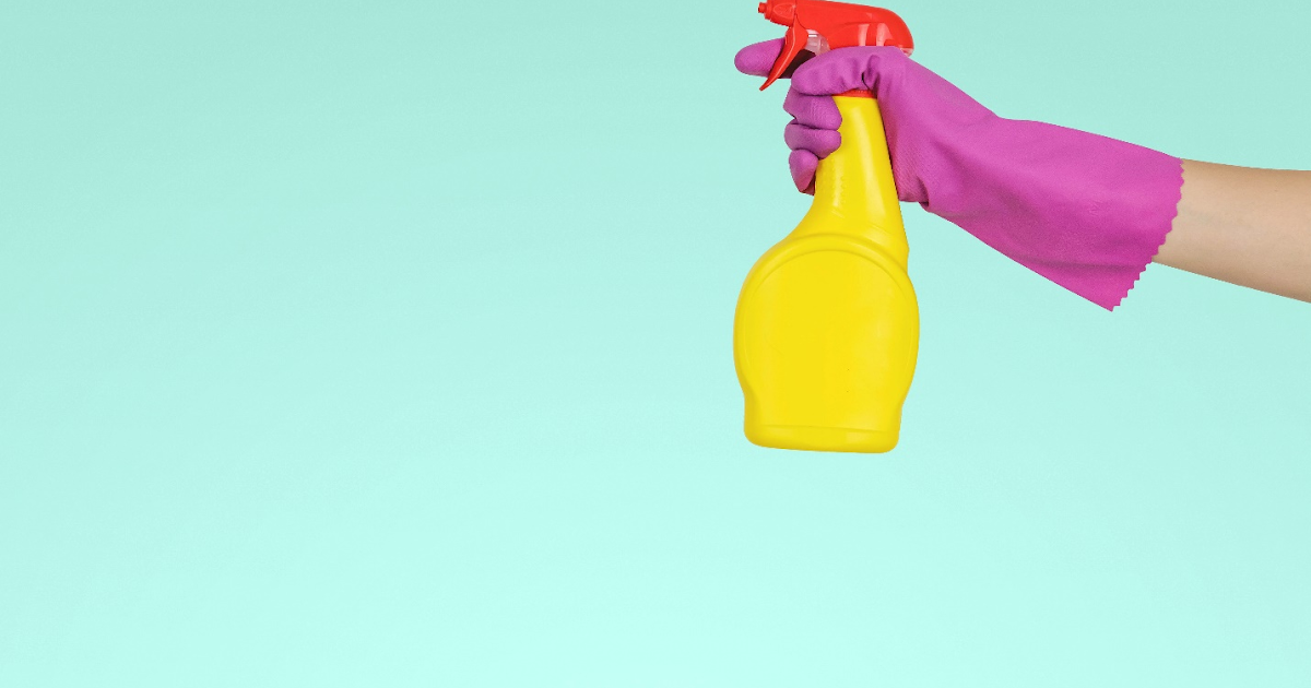 Extra Hands Services, Inc.