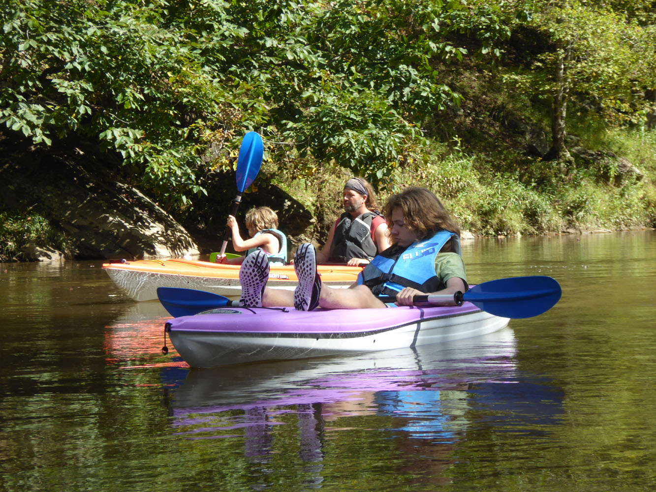 The Enchanted Tree Kayaking on Big Reed Island Creek