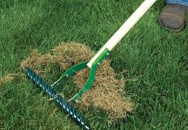 when to dethatch and aerate your lawn