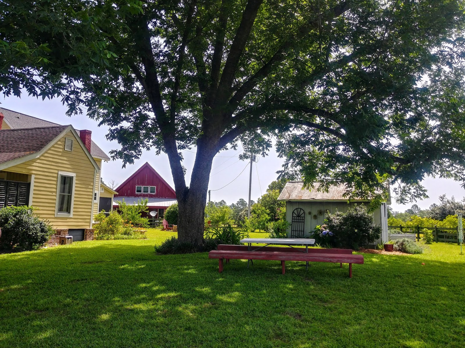 Another Mile Another Destination Blog White Hills Farms, Dearing,