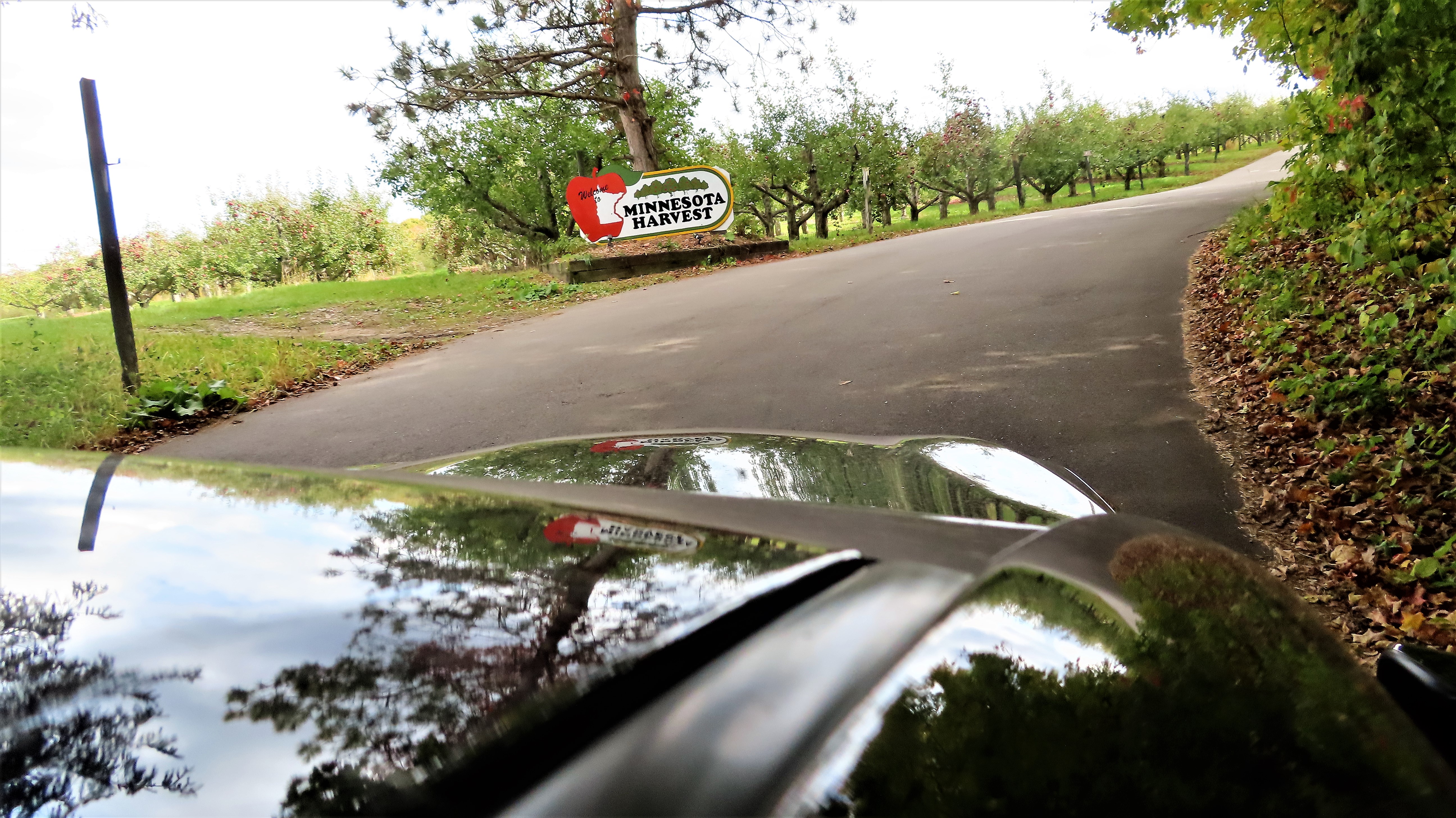 Todd Swank Boiling Springs in Savage, Minnesota