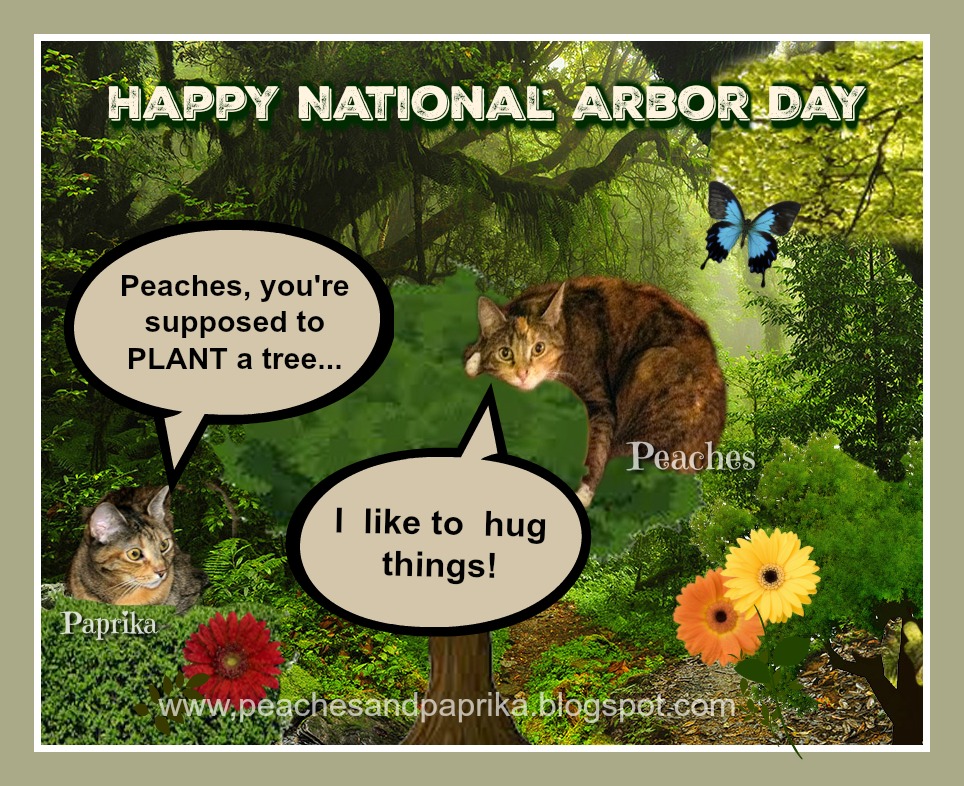 Peaches and Paprika Happy National Arbor Day