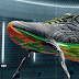 ASICS: QUANDO LA SCARPA DIVENTA UN'IPERBOLE