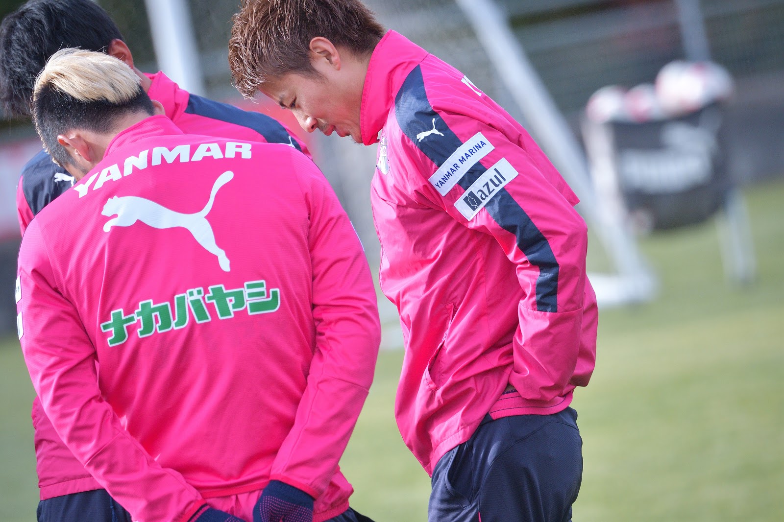 セレッソ大阪狂乱観戦記 O Lunatico Amou Futebol 清武 おかえり と サポーターズコンペンション Cerezo Photo Diary