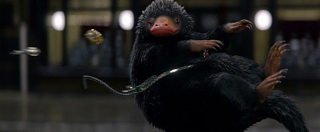 Ternyata Niffler di Fantastic Beast Ditemukan Di Dunia Nyata Lho! Negara Ini yang Punya