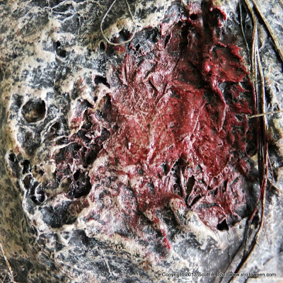 PUMPKINROT.COM: The Blog: Textures