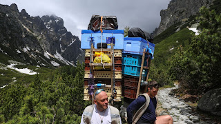 Wyoming randevú törvények