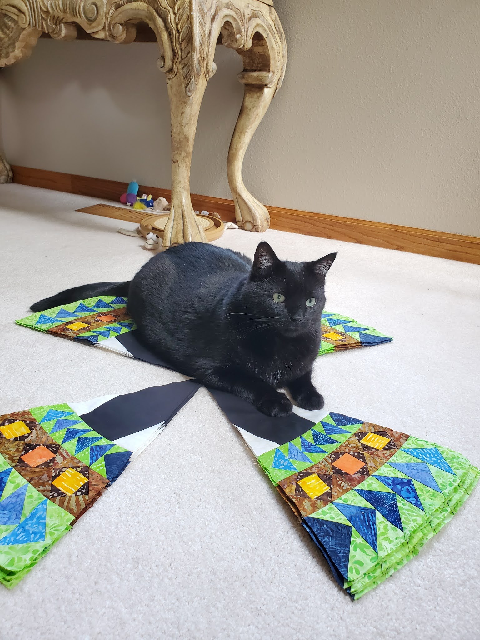 What a Hoot! BOMs Away Temperature Quilt & Neptune's Gift