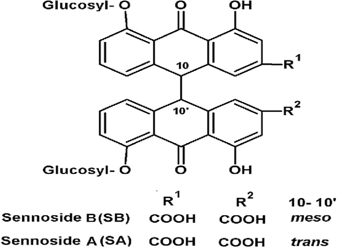 To study the Macroscopical and Microscopical and Extraction of Senna
