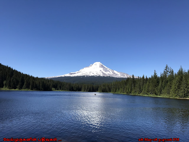 Mt Hood Trillium Lake