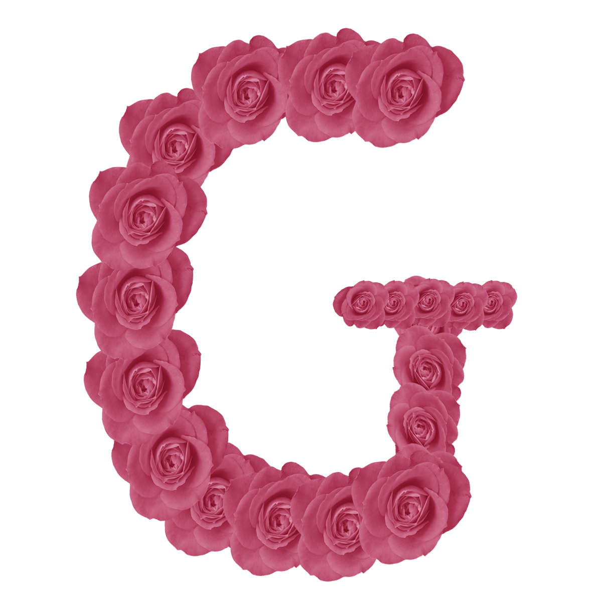 Буквы с розами. Красивые буквы из роз. Розовые буквы. Буква g.