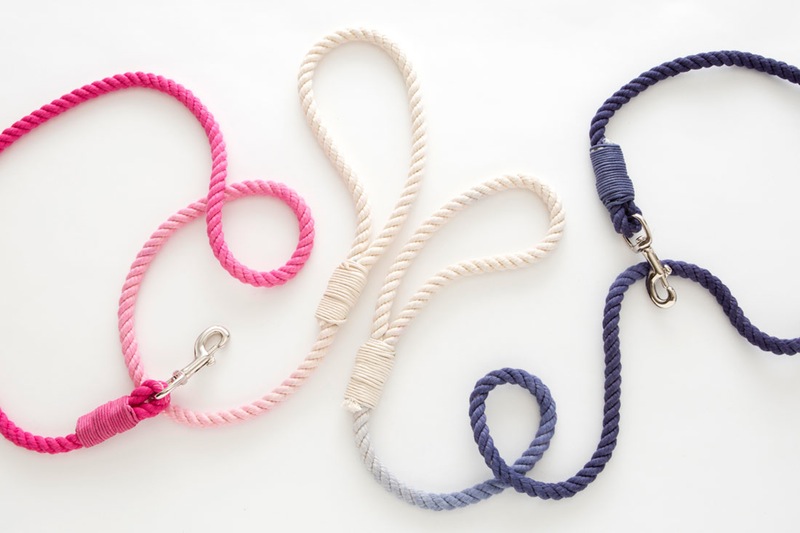 diy dog leash 20 Modern DIY Projects to Dye For | How to Dye Anything!