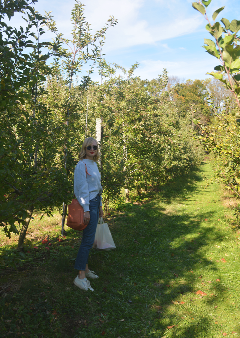Sweater Weather for Apple Picking | Organized Mess