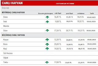 Canli Hayvan Pazarlari Hangi Ilde Hangi Gun Kuruluyor
