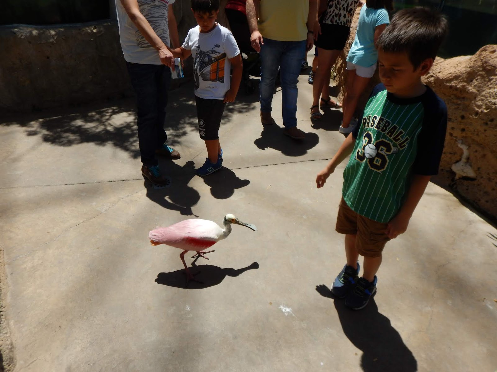 Moins Cher La Vie Cotiere