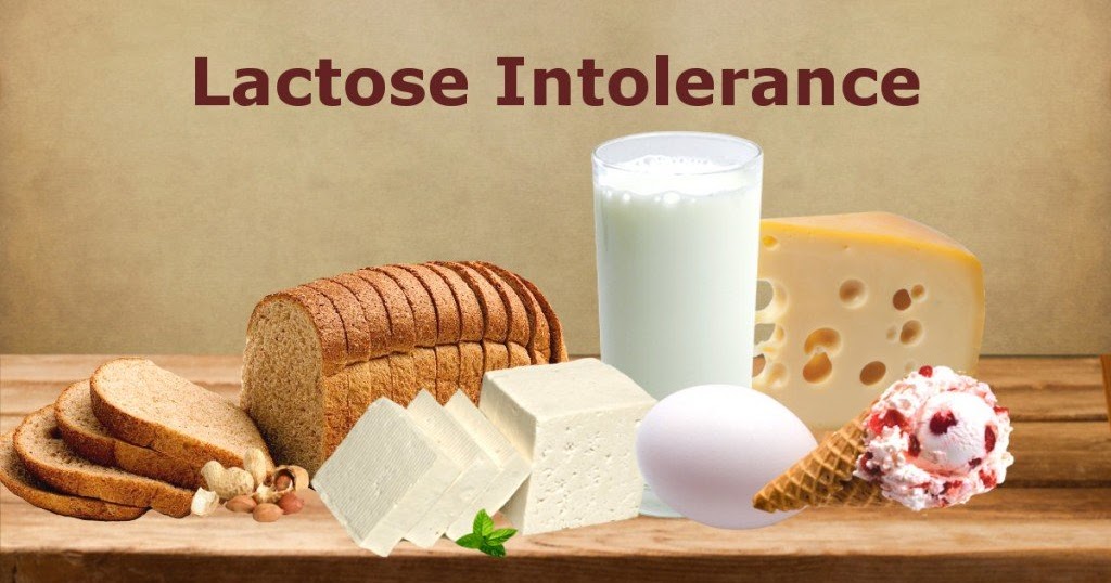 Walk Beside The Light Is Lactose Intolerance an Allergy?