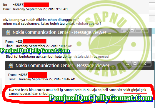 Obat Ginjal Bengkak Tradisional, Cara Memulihkan Ginjal Bengkak Secara Total Obat Ginjal Bengkak Tradisional, Cara Memulihkan Ginjal Bengkak Secara Total