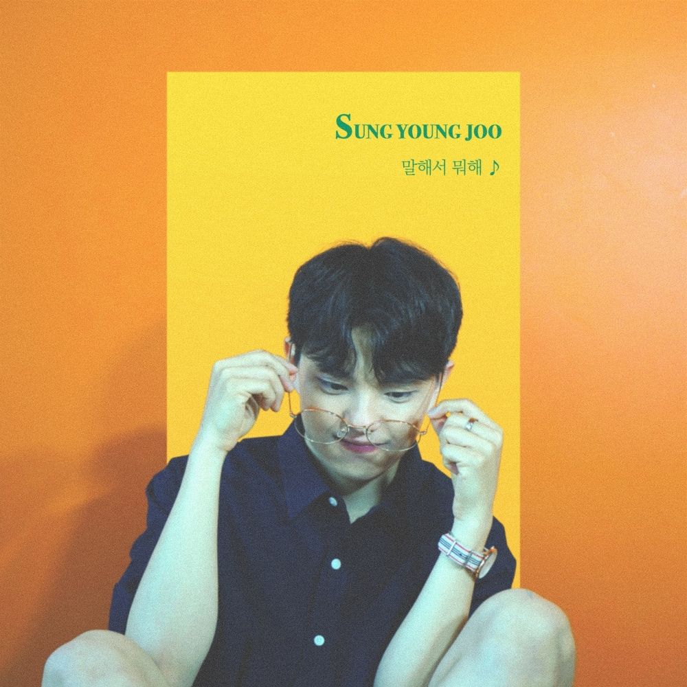 Sung Young Joo – No need to talk♪ – Single