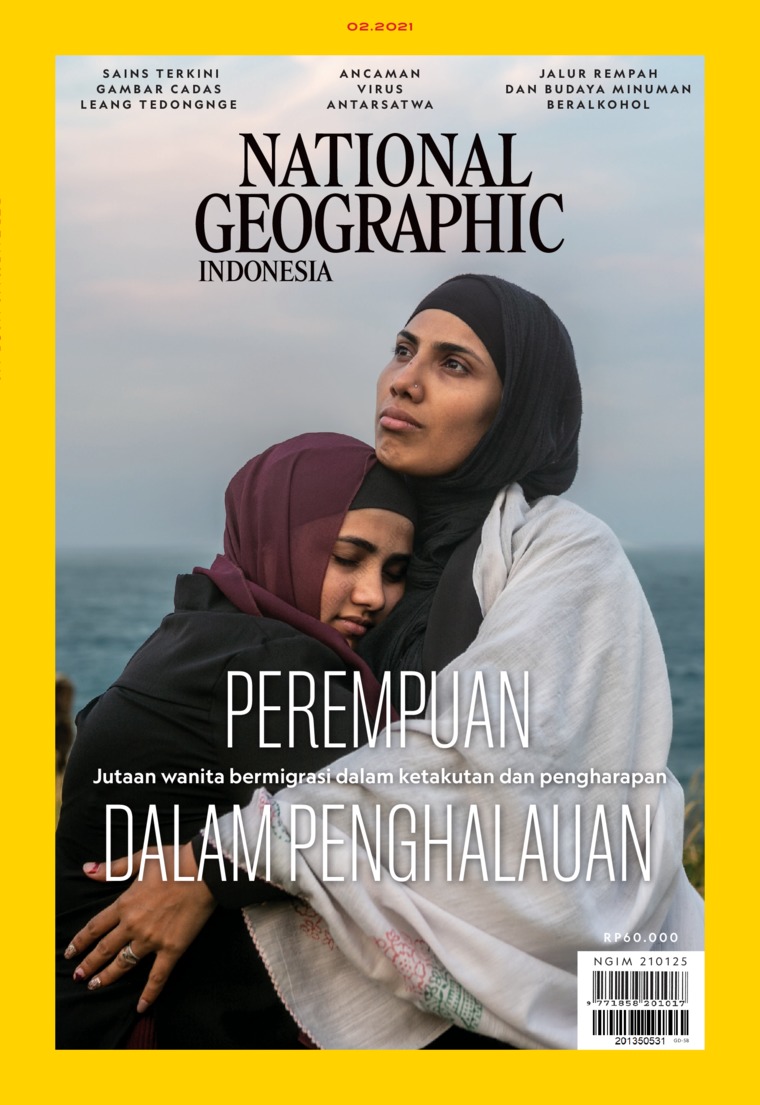 Ebook Kedokteran Gratis Pdf Ebook Kedokteran Gratis Pdf