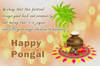 pongal 2021 wishes images
