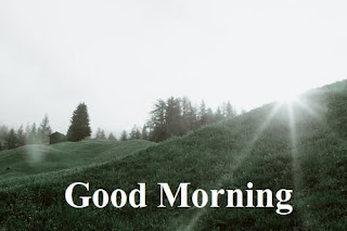 morning nature images