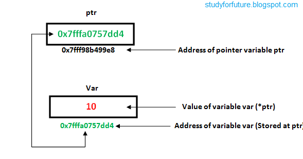 Study for Future: Pointers in C