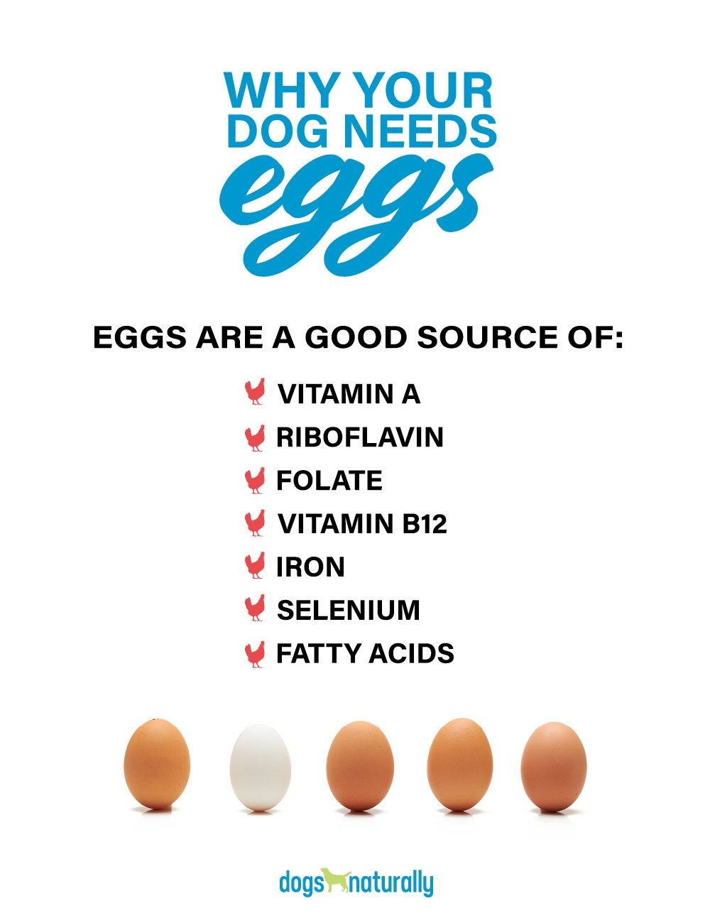 ReMARKable Farms Feeding eggs to pets