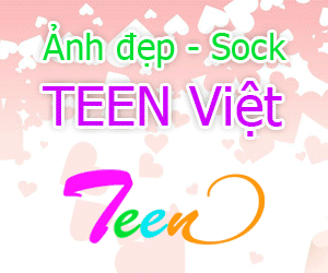 Dầu nhớt Shell Mobil Motul Castrol Caltex Vilube Motul Total BP