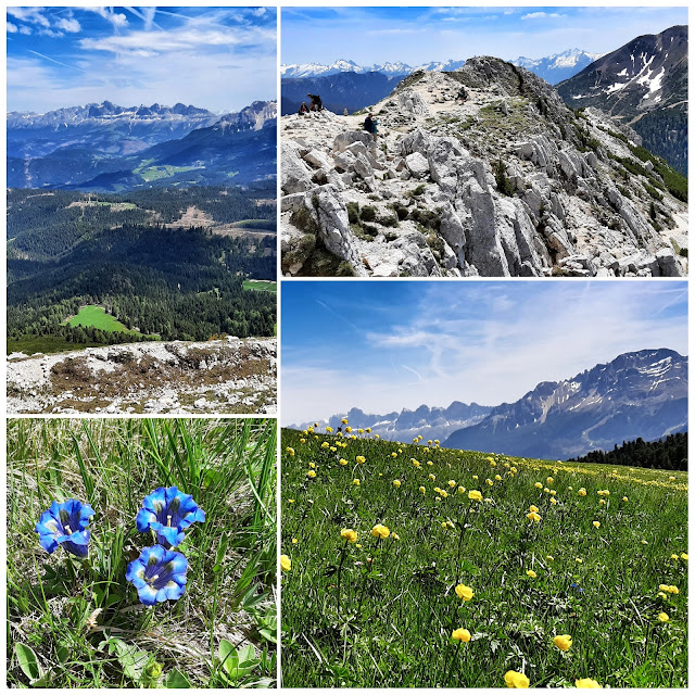 val di fiemme estate cosa vedere