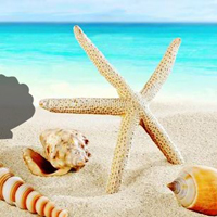 fantasy-conch-beach-escape.jpg