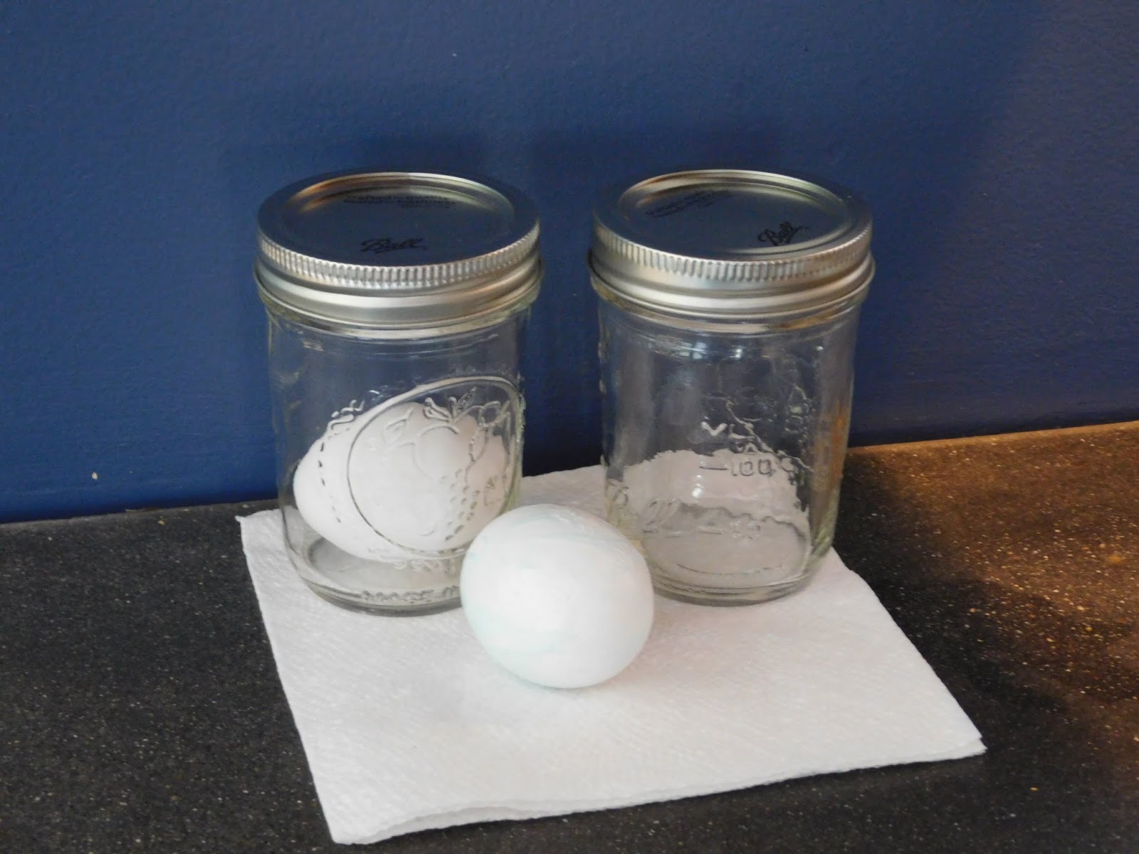 100 Days of Science 54 Fluoride and Calcium Experiment