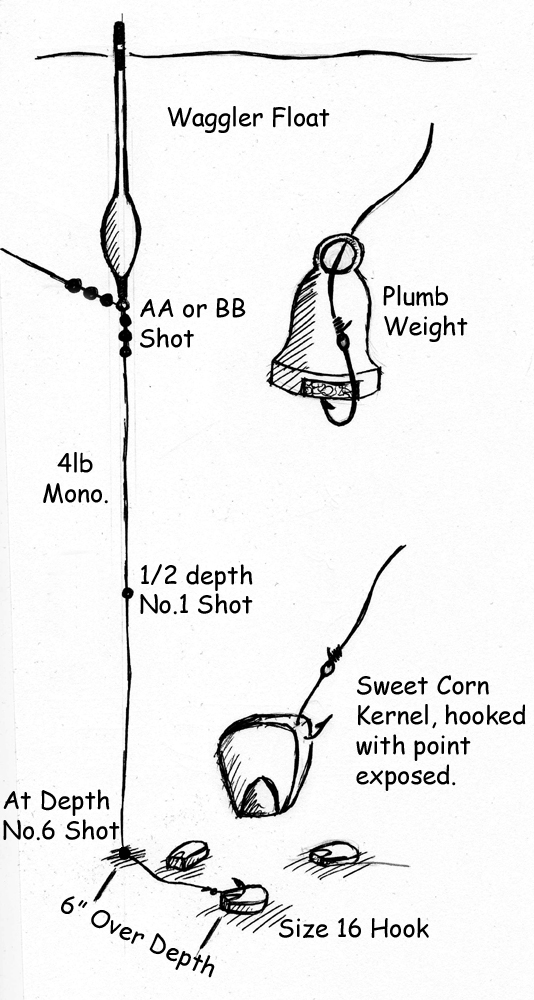 Homemade Fishing Lure Blog: Wagglers