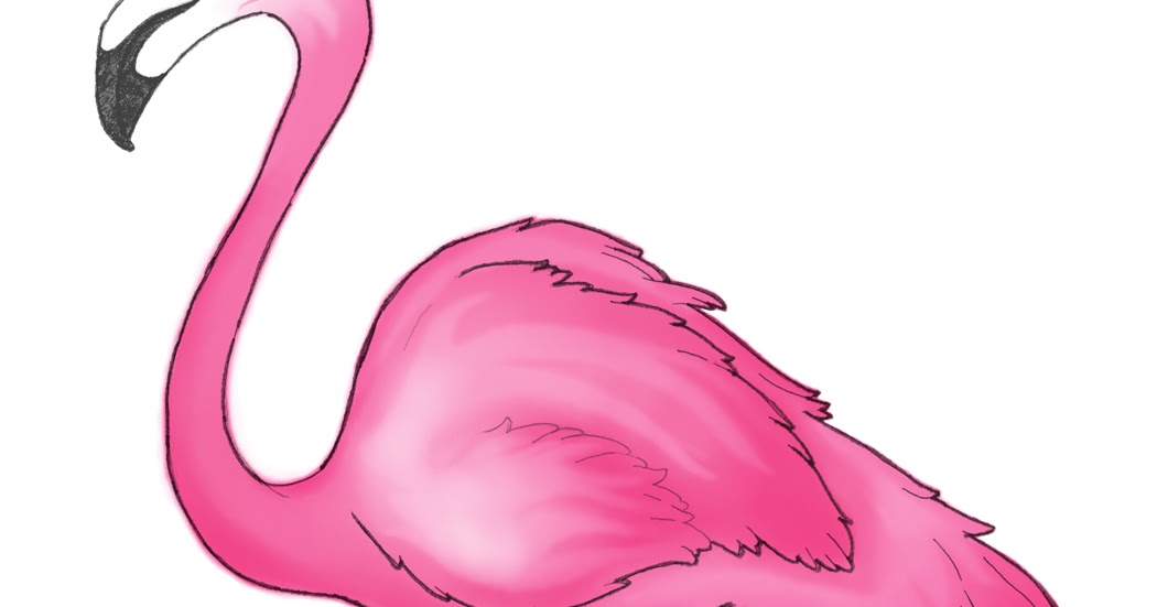 Фламинго легко. Рисование Фламинго. Фламинго карандашом. Фламинго рисунок. Фламинго для срисовки карандашом.