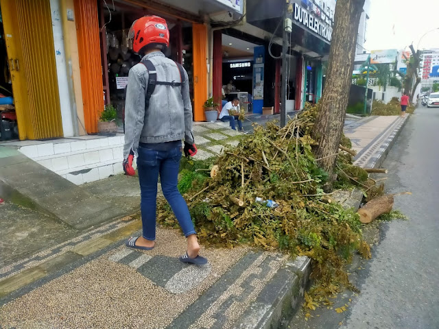 Usai Potong Pohon, Damkar Kota Biarkan Sampah Di Jalan 2 InShot 20210929 170532149