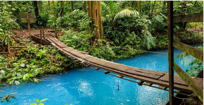 Tujuh Negara Dengan Kebersihan Lingkungan Terbaik di Dunia Tujuh Negara Dengan Kebersihan Lingkungan Terbaik di Dunia