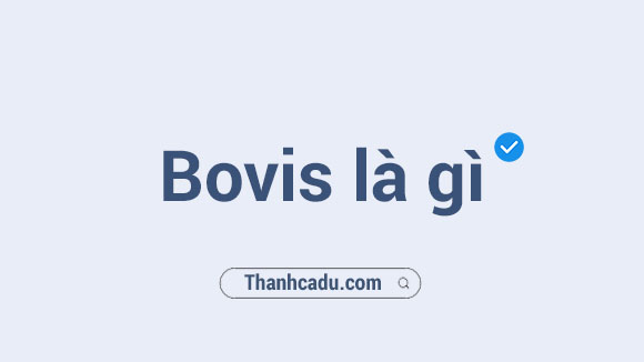 cach lam tang chi so bovis,bovis la gi,bieu o bovis,may o nang luong,may o tu truong phong thuy,dich vu o chi so bovis,bieu o cam xa,nang luong ia sinh hoc