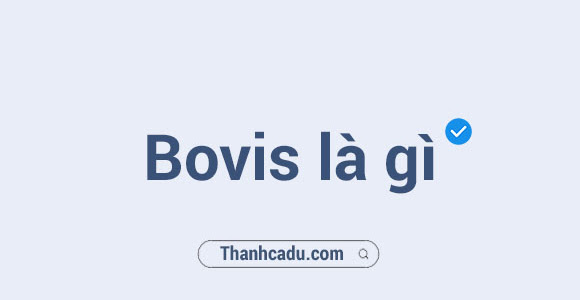 Bovis là gì?