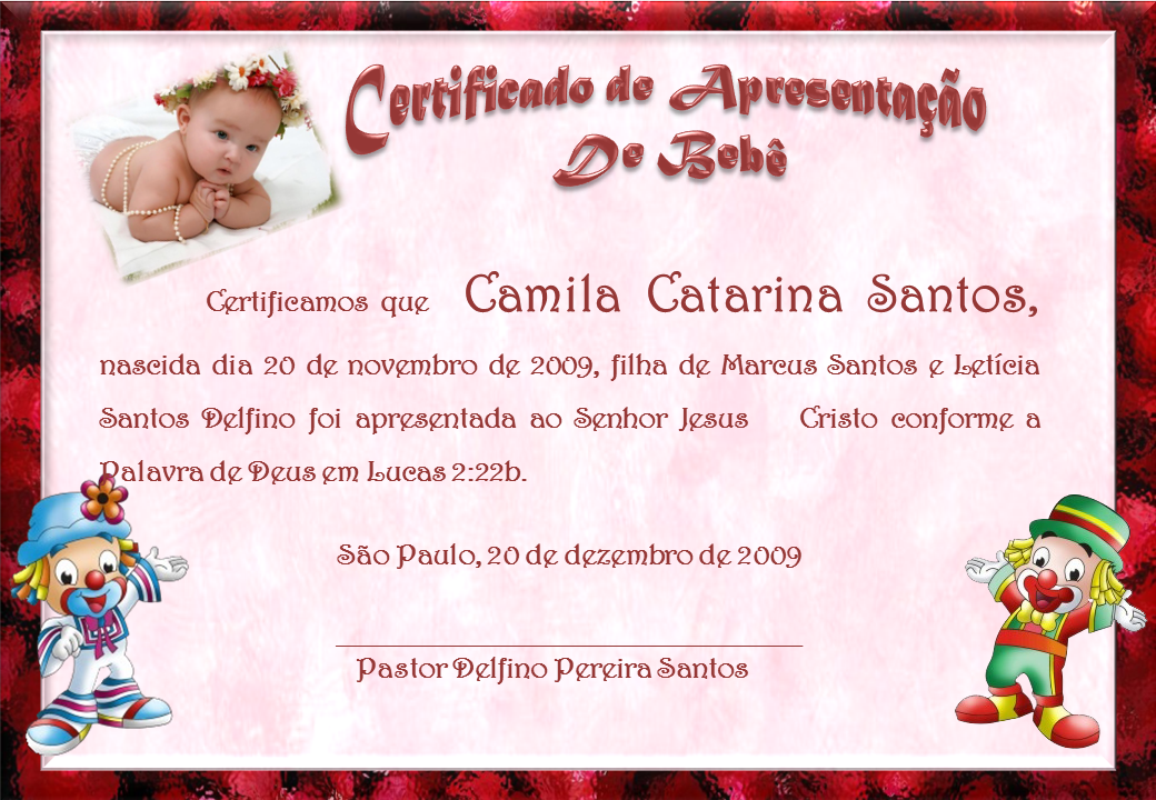 Apresentacao de bebe