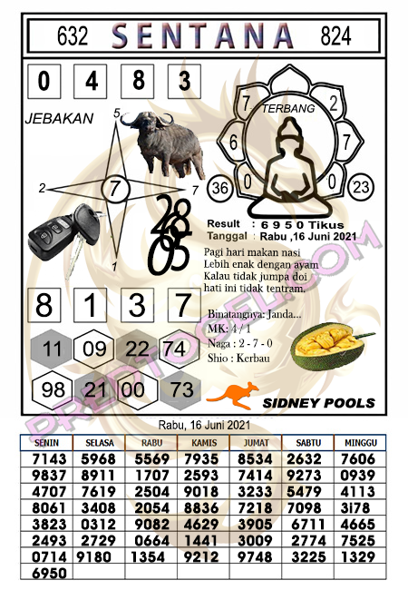 Kode Syair Togel Sydney 16 Juni 2021 Forum Syair Togel