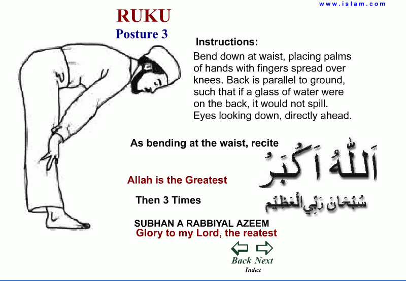 Common Mistakes And Errors During Namaz RUKU common-mistakes-and-errors-during-namaz-ruku