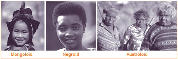 Pengertian Ras, Macam-Macam, dan Ciri-Ciri Ras (Kaukasoid, Mongoloid, Negroid, Australoid, dan Ras Khusus)