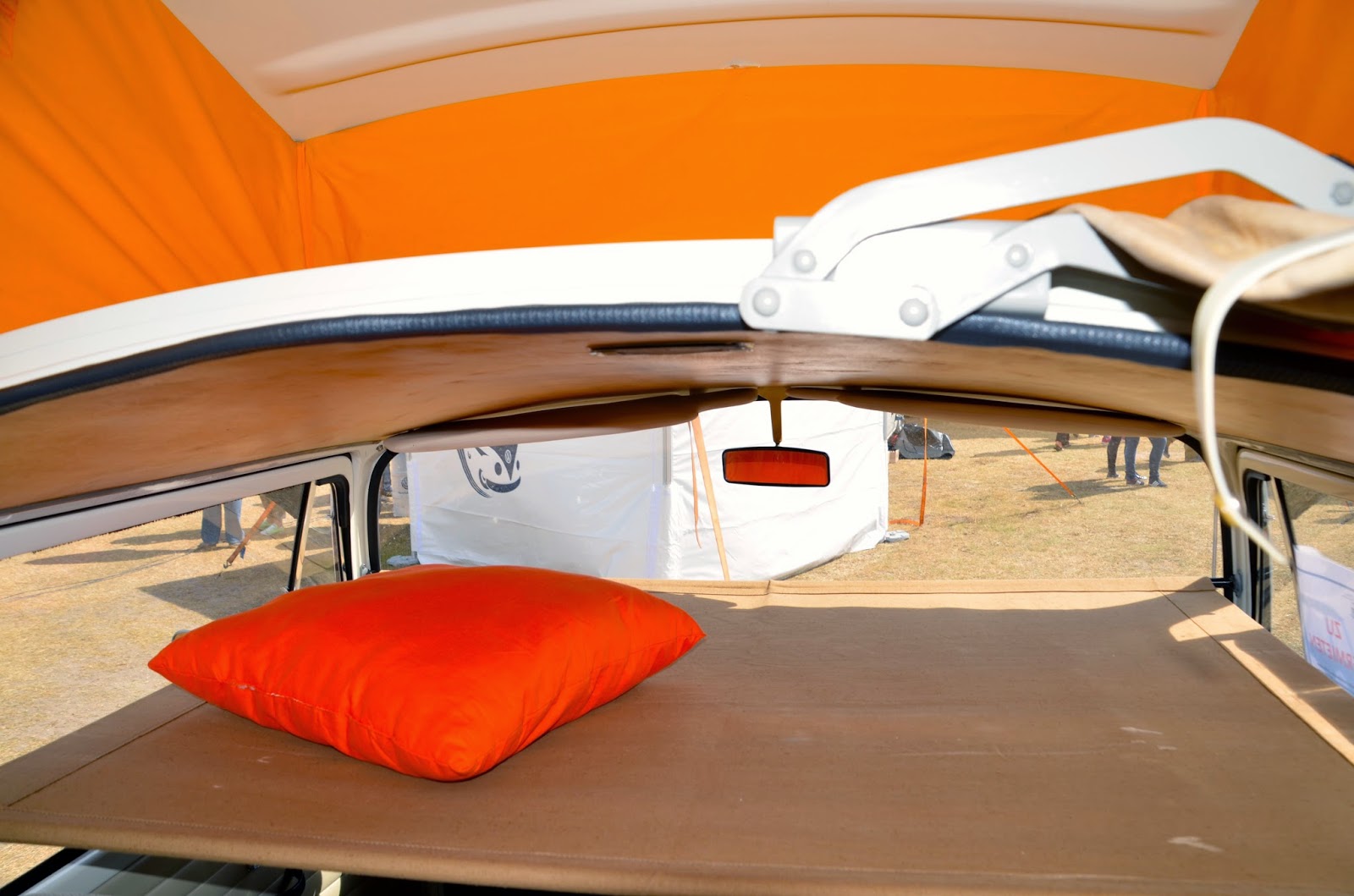  Fehmarn mit Hund: Bullitreffen auf Fehmarn am 20.06.2014 Bildidee 