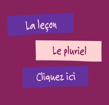 http://www.linstit.com/lecon-francais-orthographe-pluriel-noms.html