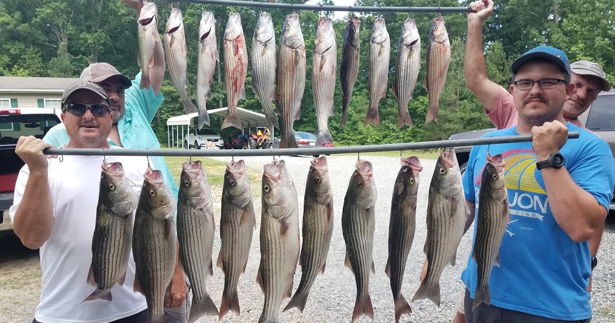 Lake Anna Striper Guide Journal Sunday Fun on Lake Anna